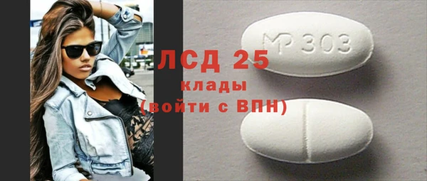 молекула духа Богородицк