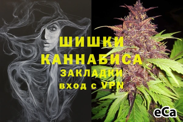 марки nbome Белокуриха