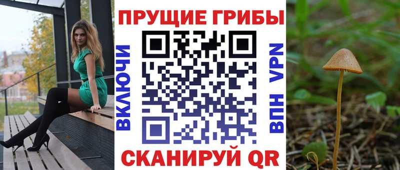 Галлюциногенные грибы ЛСД  магазин продажи   Шахунья 
